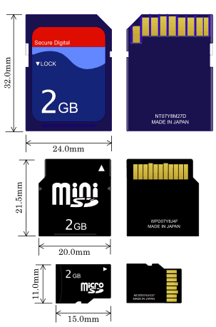 Dimensione delle schede SD, mini SD e micro SD.