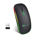 EasyULT Mouse Bluetooth Ricaricabile, Mouse Silenzioso a Due modalità (BT 5.1+2.4G Wireless), Mouse da Viaggio Portatile Senza Fili Ottico, 3 Livelli DPI(800/1200/1600), 4 Pulsanti-Nero